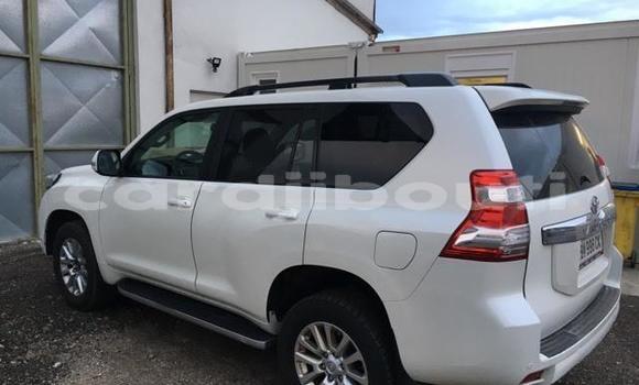 Buy Used Toyota RAV4 Green Car in Djibouti in Djibouti Region Buy Used Toyota RAV4 Green Car in Djibouti in Djibouti Region