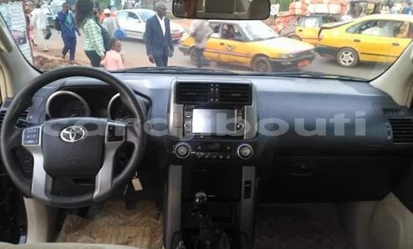 Buy Used Toyota Land Cruiser Prado White Car in Djibouti in Djibouti Region Buy Used Toyota Land Cruiser Prado White Car in Djibouti in Djibouti Region