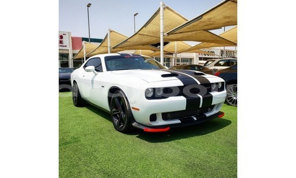 Acheter Import Voiture Dodge Challenger Blanc à Import - Dubai, Ali Sabieh Region