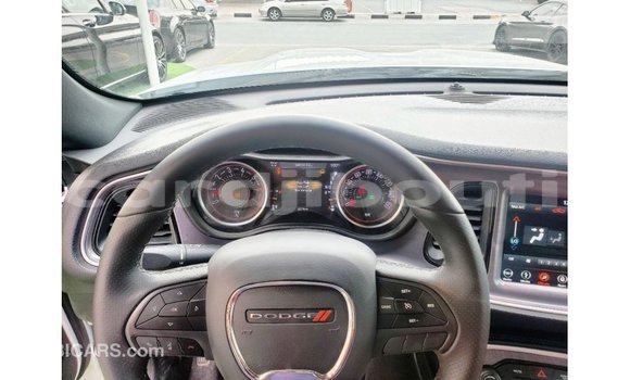 Acheter Import Voiture Dodge Challenger Blanc à Import - Dubai, Ali Sabieh Region Acheter Import Voiture Dodge Challenger Blanc à Import - Dubai, Ali Sabieh Region