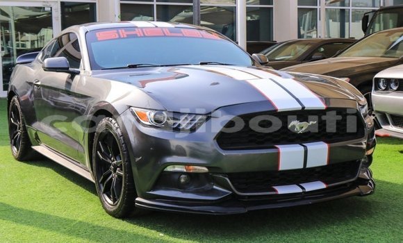 Buy Import Ford Mustang Other Car in Import - Dubai in Ali Sabieh Region