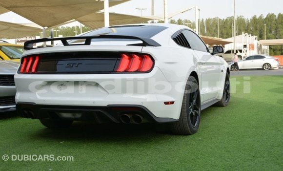 Acheter Import Voiture Ford Mustang Blanc à Import - Dubai, Ali Sabieh Region Acheter Import Voiture Ford Mustang Blanc à Import - Dubai, Ali Sabieh Region