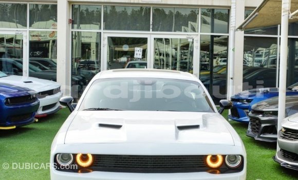 Acheter Import Voiture Dodge Challenger Blanc à Import - Dubai, Ali Sabieh Region Acheter Import Voiture Dodge Challenger Blanc à Import - Dubai, Ali Sabieh Region