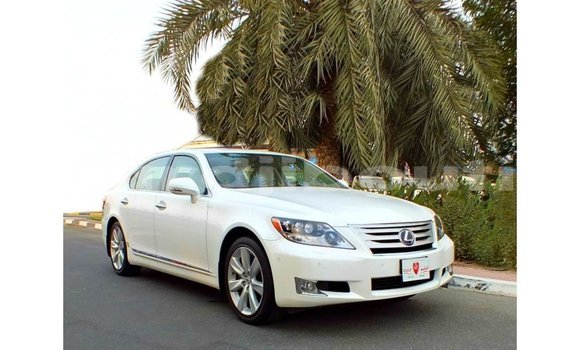 Acheter Import Voiture Lexus LS Blanc à Import - Dubai, Ali Sabieh Region