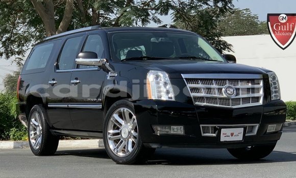 Acheter Import Voiture Cadillac Escalade Noir à Import - Dubai, Ali Sabieh Region