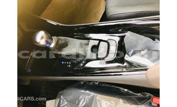 Buy Import Toyota C-HR Other Car in Import - Dubai in Ali Sabieh Region Buy Import Toyota C-HR Other Car in Import - Dubai in Ali Sabieh Region