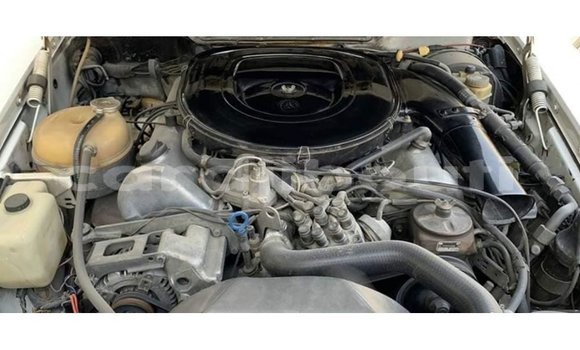 Acheter Import Voiture Mercedes-Benz 190 Blanc à Import - Dubai, Ali Sabieh Region Acheter Import Voiture Mercedes-Benz 190 Blanc à Import - Dubai, Ali Sabieh Region