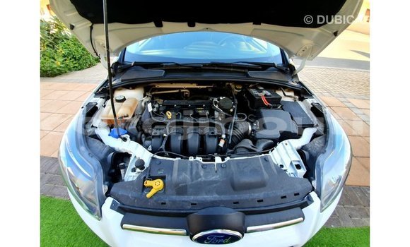 Buy Import Ford Focus White Car in Import - Dubai in Ali Sabieh Region Buy Import Ford Focus White Car in Import - Dubai in Ali Sabieh Region