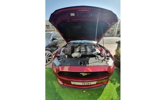 Buy Import Ford Mustang Red Car in Import - Dubai in Ali Sabieh Region Buy Import Ford Mustang Red Car in Import - Dubai in Ali Sabieh Region