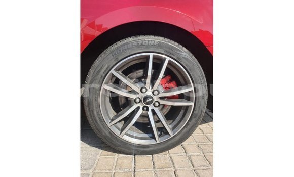 Buy Import Ford Mustang Red Car in Import - Dubai in Ali Sabieh Region Buy Import Ford Mustang Red Car in Import - Dubai in Ali Sabieh Region