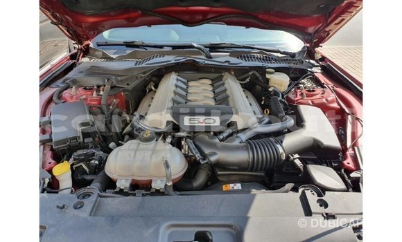 Buy Import Ford Mustang Red Car in Import - Dubai in Ali Sabieh Region Buy Import Ford Mustang Red Car in Import - Dubai in Ali Sabieh Region