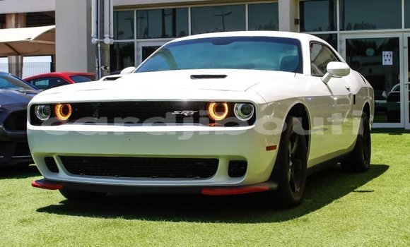 Acheter Import Voiture Dodge Challenger Blanc à Import - Dubai, Ali Sabieh Region