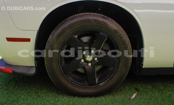 Acheter Import Voiture Dodge Challenger Blanc à Import - Dubai, Ali Sabieh Region Acheter Import Voiture Dodge Challenger Blanc à Import - Dubai, Ali Sabieh Region