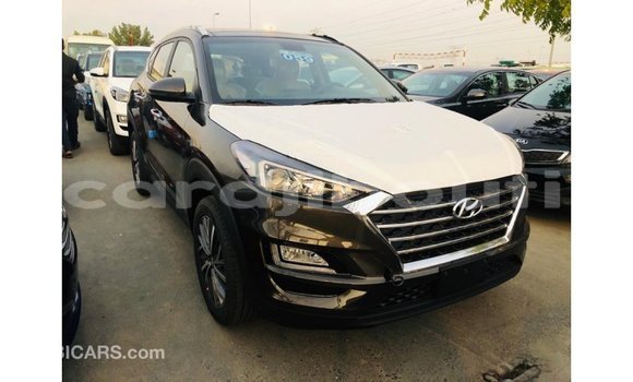 Buy Import Hyundai Tucson Brown Car in Import - Dubai in Ali Sabieh Region Buy Import Hyundai Tucson Brown Car in Import - Dubai in Ali Sabieh Region