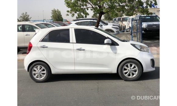 Buy Import Kia Picanto White Car in Import - Dubai in Ali Sabieh Region Buy Import Kia Picanto White Car in Import - Dubai in Ali Sabieh Region