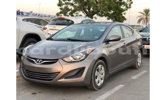 Buy Import Hyundai Elantra Brown Car in Import - Dubai in Ali Sabieh Region Buy Import Hyundai Elantra Brown Car in Import - Dubai in Ali Sabieh Region