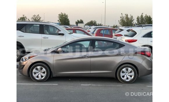 Buy Import Hyundai Elantra Brown Car in Import - Dubai in Ali Sabieh Region Buy Import Hyundai Elantra Brown Car in Import - Dubai in Ali Sabieh Region