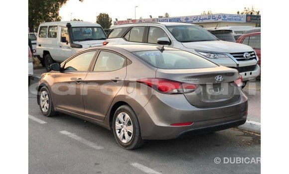 Buy Import Hyundai Elantra Brown Car in Import - Dubai in Ali Sabieh Region Buy Import Hyundai Elantra Brown Car in Import - Dubai in Ali Sabieh Region