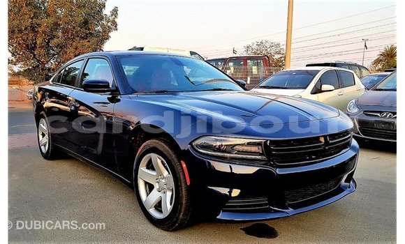 Buy Import Dodge Charger Blue Car in Import - Dubai in Ali Sabieh Region Buy Import Dodge Charger Blue Car in Import - Dubai in Ali Sabieh Region
