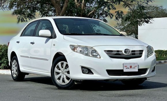 Acheter Import Voiture Toyota Corolla Blanc à Import - Dubai, Ali Sabieh Region Acheter Import Voiture Toyota Corolla Blanc à Import - Dubai, Ali Sabieh Region