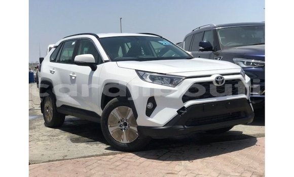Acheter Import Voiture Toyota 4Runner Blanc à Import - Dubai, Ali Sabieh Region