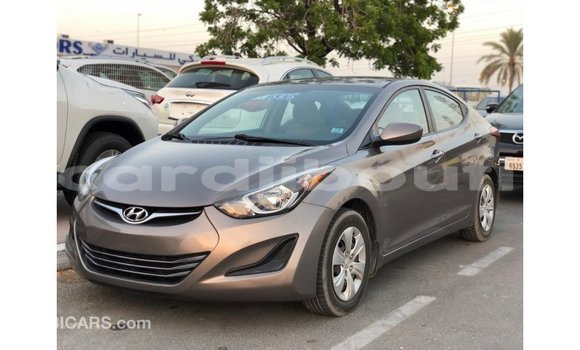 Buy Import Hyundai Elantra Brown Car in Import - Dubai in Ali Sabieh Region Buy Import Hyundai Elantra Brown Car in Import - Dubai in Ali Sabieh Region