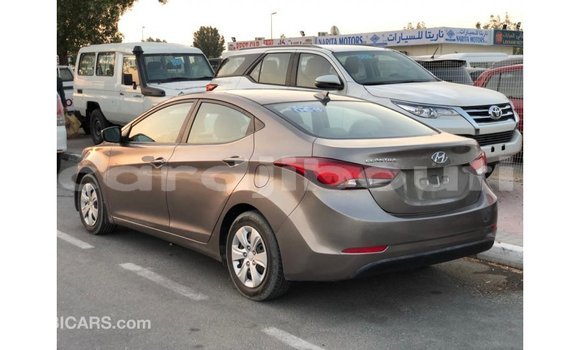 Buy Import Hyundai Elantra Brown Car in Import - Dubai in Ali Sabieh Region Buy Import Hyundai Elantra Brown Car in Import - Dubai in Ali Sabieh Region