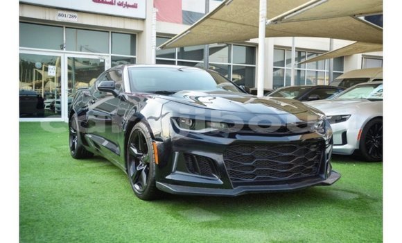 Acheter Import Voiture Chevrolet Camaro Noir à Import - Dubai, Ali Sabieh Region