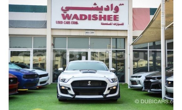 Acheter Import Voiture Ford Mustang Blanc à Import - Dubai, Ali Sabieh Region Acheter Import Voiture Ford Mustang Blanc à Import - Dubai, Ali Sabieh Region