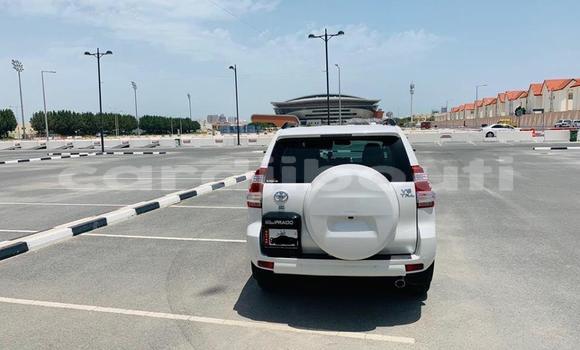 Buy Used Toyota Land Cruiser Prado Green Car in Djibouti in Djibouti Region Buy Used Toyota Land Cruiser Prado Green Car in Djibouti in Djibouti Region