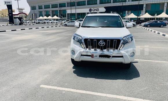 Buy Used Toyota Land Cruiser Prado Green Car in Djibouti in Djibouti Region Buy Used Toyota Land Cruiser Prado Green Car in Djibouti in Djibouti Region