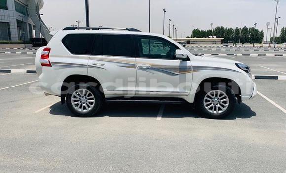Buy Used Toyota Land Cruiser Prado Green Car in Djibouti in Djibouti Region Buy Used Toyota Land Cruiser Prado Green Car in Djibouti in Djibouti Region