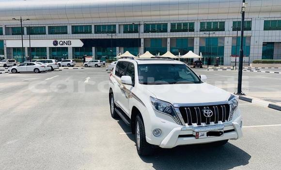 Buy Used Toyota Land Cruiser Prado Green Car in Djibouti in Djibouti Region Buy Used Toyota Land Cruiser Prado Green Car in Djibouti in Djibouti Region