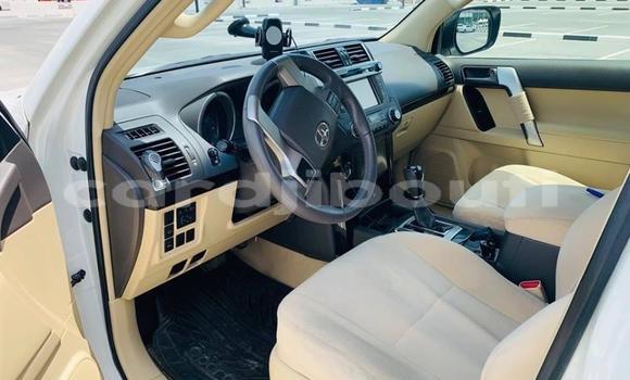 Buy Used Toyota Land Cruiser Prado Green Car in Djibouti in Djibouti Region Buy Used Toyota Land Cruiser Prado Green Car in Djibouti in Djibouti Region