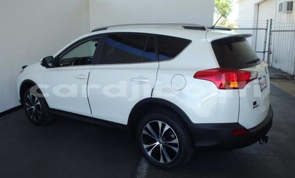 Buy Used Toyota RAV4 Green Car in Djibouti in Djibouti Region Buy Used Toyota RAV4 Green Car in Djibouti in Djibouti Region