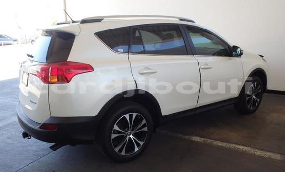 Buy Used Toyota RAV4 Green Car in Djibouti in Djibouti Region Buy Used Toyota RAV4 Green Car in Djibouti in Djibouti Region