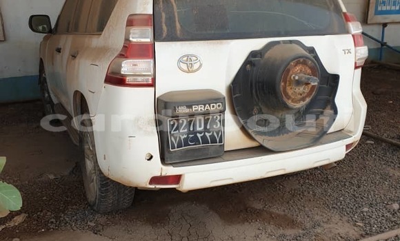 Acheter Occasion Voiture Toyota Land Cruiser Blanc à Djibouti, Djibouti Region Acheter Occasion Voiture Toyota Land Cruiser Blanc à Djibouti, Djibouti Region