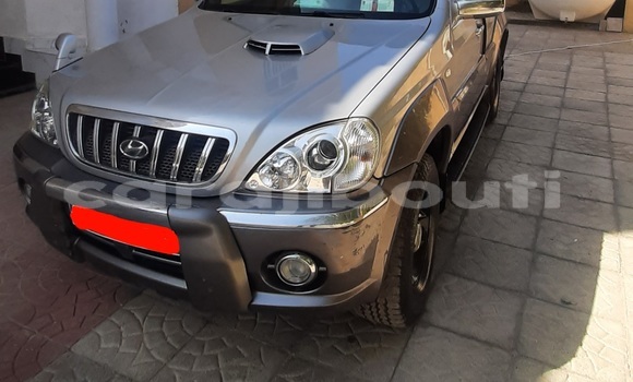 Acheter Occasion Voiture Hyundai Terracan Gris à Djibouti, Djibouti Region