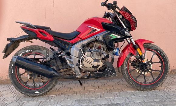 Buy Used Senke SK150 Red Bike in Djibouti in Djibouti Region Buy Used Senke SK150 Red Bike in Djibouti in Djibouti Region