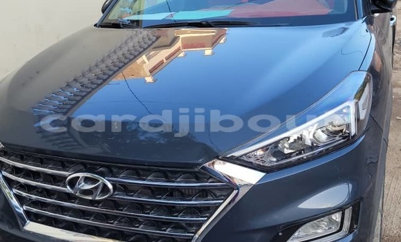 Buy Used Hyundai Tucson Blue Car in Djibouti in Djibouti Region Buy Used Hyundai Tucson Blue Car in Djibouti in Djibouti Region
