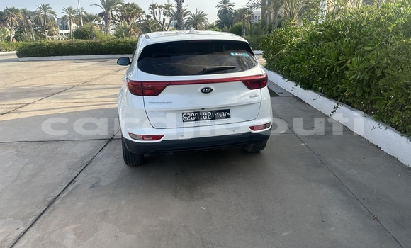 Acheter Occasion Voiture Kia Sportage Blanc à Djibouti, Djibouti Region Acheter Occasion Voiture Kia Sportage Blanc à Djibouti, Djibouti Region