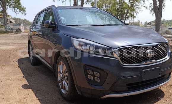 Medium with watermark kia sorento djibouti region djibouti 4407