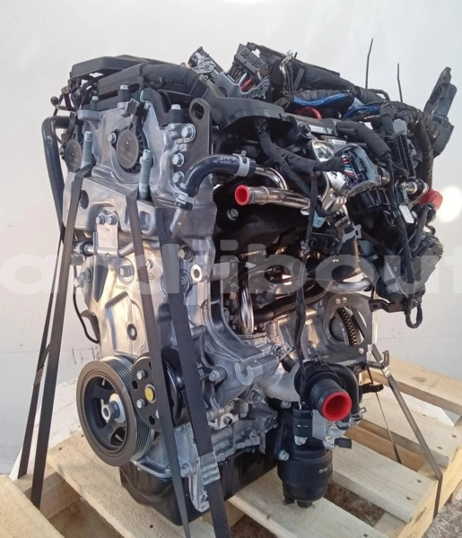 Big with watermark s l1600