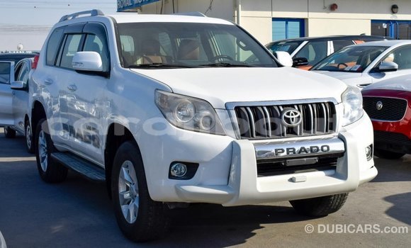 Buy Import Toyota Prado White Car in Import - Dubai in Ali Sabieh Region Buy Import Toyota Prado White Car in Import - Dubai in Ali Sabieh Region