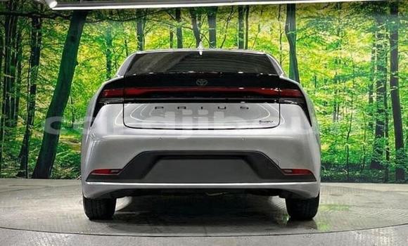 Acheter Occasion Voiture Toyota Prius Gris à Djibouti city, East africa Acheter Occasion Voiture Toyota Prius Gris à Djibouti city, East africa