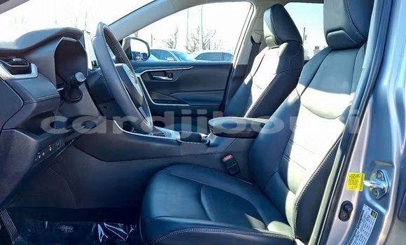 Buy Used Toyota RAV4 Silver Car in Djibouti in Djibouti Region Buy Used Toyota RAV4 Silver Car in Djibouti in Djibouti Region