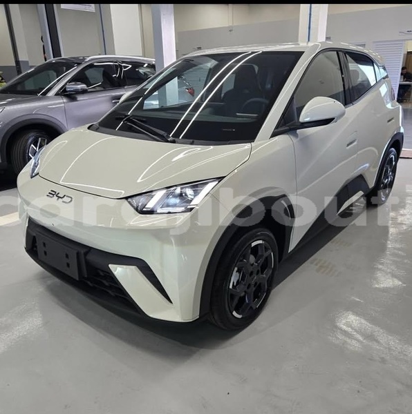 Big with watermark byd seagull djibouti region djibouti 4587