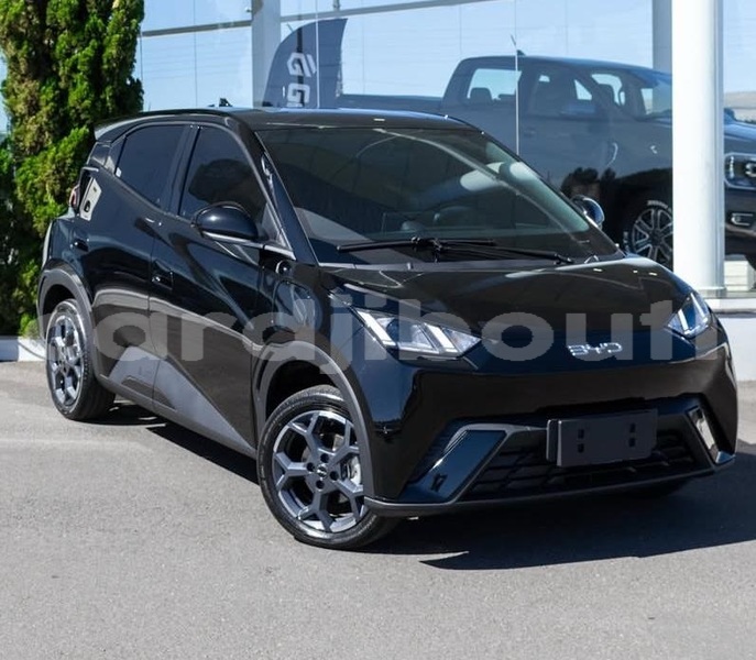 Big with watermark byd seagull djibouti region djibouti 4587