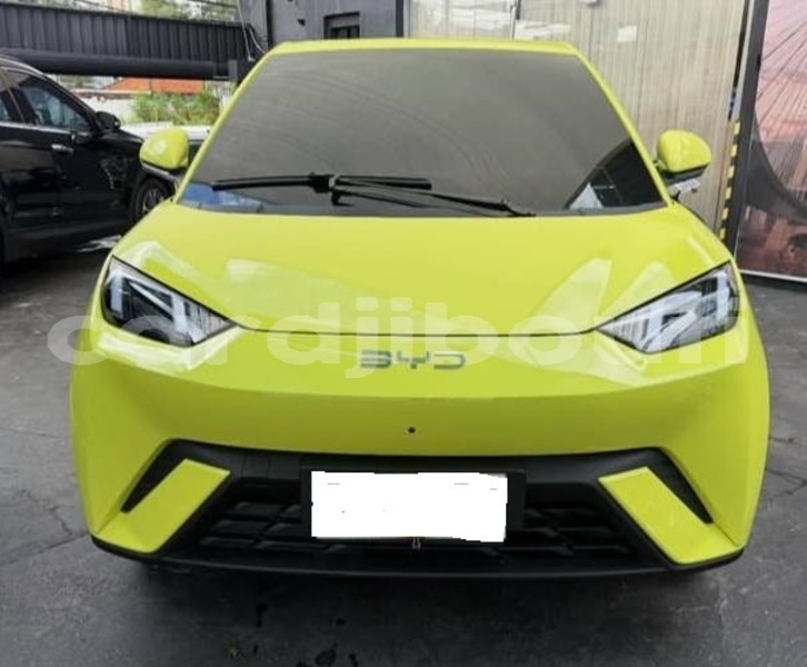 Big with watermark byd seagull djibouti region djibouti 4587