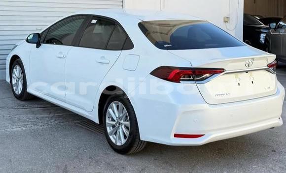 Acheter Occasion Voiture Toyota Corolla Blanc à Djibouti city, East africa Acheter Occasion Voiture Toyota Corolla Blanc à Djibouti city, East africa